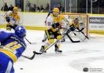 Photo hockey reportage Premier cru de Bourgogne