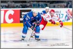 Photo hockey reportage Reportage photos : France VS Danemark vu par Yves Le Guillerm