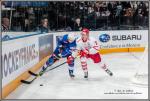 Photo hockey reportage Reportage photos : France VS Danemark vu par Yves Le Guillerm