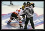 Photo hockey reportage Retour : Rouen vs Amiens en images