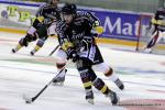 Photo hockey reportage Retour aux affaires pour Rouen