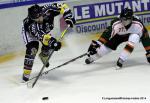 Photo hockey reportage Retour aux affaires pour Rouen