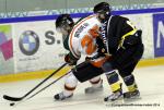Photo hockey reportage Retour aux affaires pour Rouen
