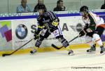 Photo hockey reportage Retour aux affaires pour Rouen