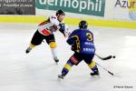 Photo hockey reportage Riviera Cup : Ractions des acteurs et photos