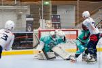 Photo hockey reportage Roller - All star game - Reportage photos