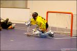 Photo hockey reportage Roller : Photos Epinal vs Strasbourg