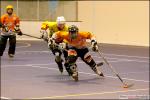 Photo hockey reportage Roller : Photos Epinal vs Strasbourg