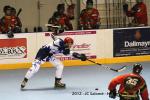 Photo hockey reportage Roller Elite : les Yeti's dominent les Conqurants