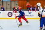 Photo hockey reportage Roller Fminin : Grenoble - Montpellier