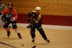 Photo hockey reportage Roller N2: Les Bloody Tigers, au bout du suspense