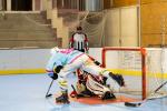 Photo hockey reportage Roller N3 : Villard-Bonnod VS Seynod