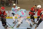 Photo hockey reportage Roller N3 : Villard-Bonnod VS Seynod