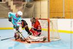 Photo hockey reportage Roller N3 : Villard-Bonnod VS Seynod