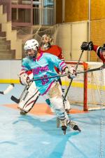Photo hockey reportage Roller N3 : Villard-Bonnod VS Seynod
