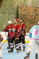 Photo hockey reportage Roller N3 : Villard-Bonnod VS Seynod