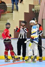 Photo hockey reportage Roller N3 - Villard Bonnot - Strasbourg