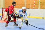 Photo hockey reportage Roller N3 - Villard Bonnot - Strasbourg