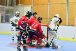 Photo hockey reportage Roller N3 - Villard Bonnot - Strasbourg