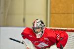 Photo hockey reportage Roller N3 - Villard Bonnot - Strasbourg