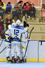 Photo hockey reportage Roller N3 - Villard Bonnot - Strasbourg