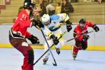 Photo hockey reportage Roller N3 - Villard Bonnot - Strasbourg