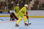 Photo hockey reportage Roller N3 - Villard Bonnot A vs  Albenc