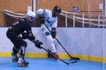 Photo hockey reportage Roller N3 - Villard Bonnot s'impose face  Chambry