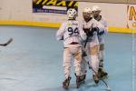 Photo hockey reportage Roller N3 : Villard-Bonnot vs Dijon