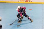 Photo hockey reportage Roller N3 : Villard-Bonnot vs Dijon