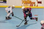 Photo hockey reportage Roller N3 : Villard-Bonnot vs Dijon