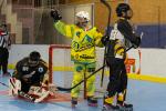 Photo hockey reportage Roller N3- Villard Bonnot vs Varces