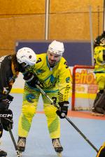 Photo hockey reportage Roller N3- Villard Bonnot vs Varces