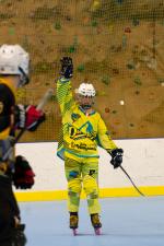 Photo hockey reportage Roller N3- Villard Bonnot vs Varces