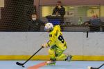 Photo hockey reportage Roller N3- Villard Bonnot vs Varces