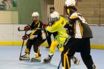 Photo hockey reportage Roller N3- Villard Bonnot vs Varces