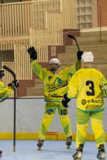 Photo hockey reportage Roller N3- Villard Bonnot vs Varces