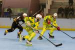 Photo hockey reportage Roller N3- Villard Bonnot vs Varces