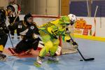 Photo hockey reportage Roller N3- Villard Bonnot vs Varces