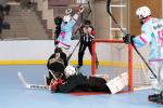 Photo hockey reportage Roller N3 Play off : 1/2 finale