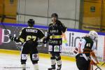 Photo hockey reportage Rouen : Dernier galop d'essai.