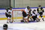 Photo hockey reportage Rouen : Dernier galop d'essai.