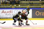 Photo hockey reportage Rouen : Dernier galop d'essai.