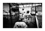 Photo hockey reportage Sp�cial Valence : Pour le plaisir des yeux...