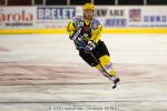Photo hockey reportage Strasbourg / Bietigheim : Reportage photos