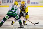 Photo hockey reportage Strasbourg / Bietigheim : Reportage photos