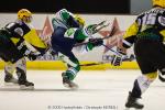 Photo hockey reportage Strasbourg / Bietigheim : Reportage photos