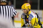 Photo hockey reportage Strasbourg / Bietigheim : Reportage photos