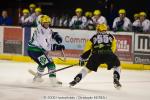 Photo hockey reportage Strasbourg / Bietigheim : Reportage photos