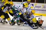 Photo hockey reportage Strasbourg / Bietigheim : Reportage photos